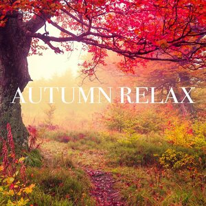 Autumn Relax
