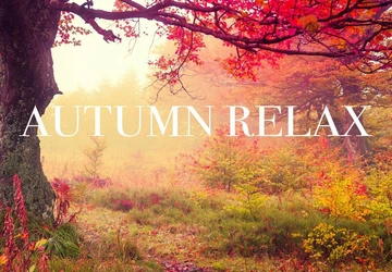 Autumn Relax